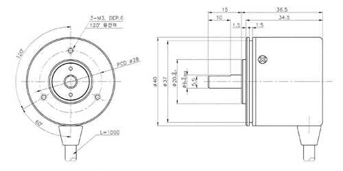 RIB-40-12